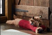 Christmas Draught Excluder