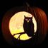 Night Owl