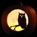 Night Owl