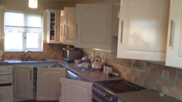 Painter decorator (s.c.s.painters)
