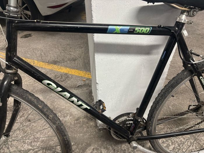 Giant bike