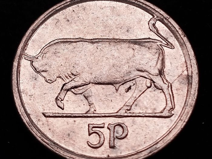 Ireland - 1996 - ERROR - 5 Pence - KM.28 - Bull - [2126]