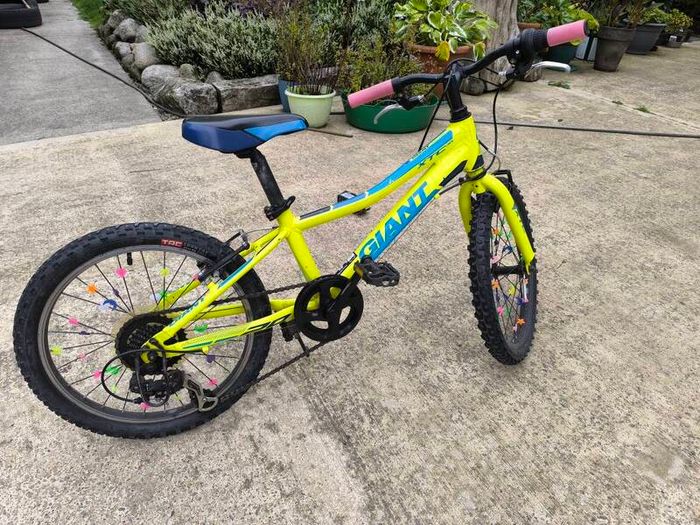 Giant XTC Jr 20 inch Kids Mountain Bike