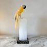 Large Hand-Carved Honey Calcite Parrot on White Quartz Pillar Base Image 7