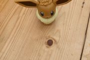 Pokemon Evie