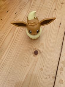 Pokemon Evie