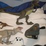 Dinosaurs Image 7