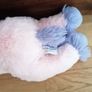 Unicorn Soft Toy Image 2