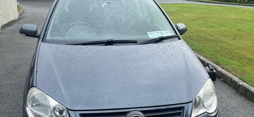 Volkswagen Polo 2007