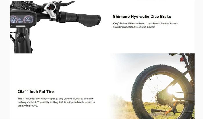DYU King 750 Mountain E-Bike