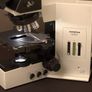 Olympus BX50F4 Trinocular Microscope Image 6