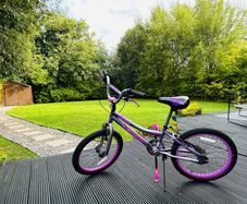 20 Inch Kids Bike Verve Cool Bike Metallic Purple Girls Bike Girl Bicycle