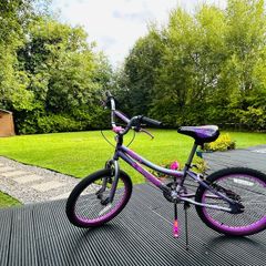 20 Inch Kids Bike Verve Cool Bike Metallic Purple Girls Bike Girl Bicycle
