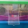 Hamster Cage Image 2