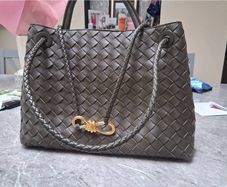 Bottega Veneta Andiamo Handbag.