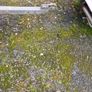 pike trafic light trailers 200 takes it no offers Image 8