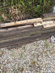Free Wood