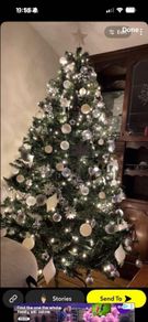 Christmas trees