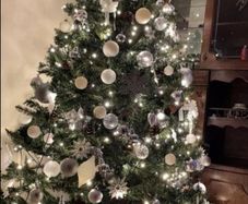 Christmas trees
