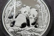 30 Gram Silver Panda 2026 Yuan 10 Bu Coin
