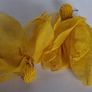 Yellow Raffia Stud Chiffon Petal Tassel Earrings Image 9