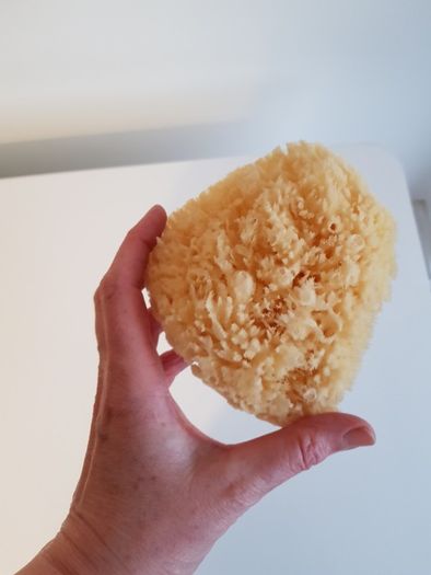 Natural Sponge