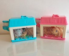 Little live pets
