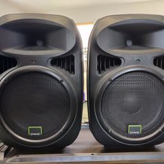 Citronic CP10 Passive 250w RMS Speakers (Pair)