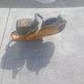 K750 partner consaw Image 4