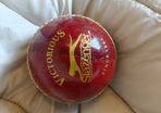 cricket ball