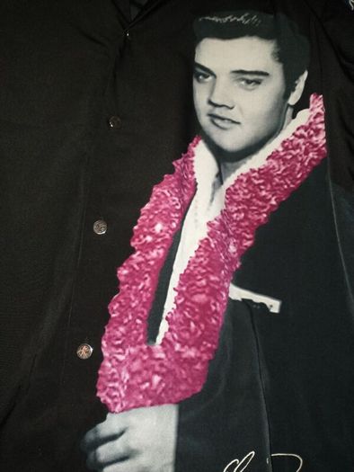 Elvis