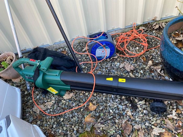 Leaf blower