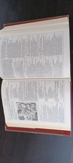 The Illustrated Stratford Shakespeare