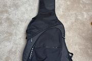 Ritter Bass guitar case
