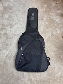 Ritter Bass guitar case