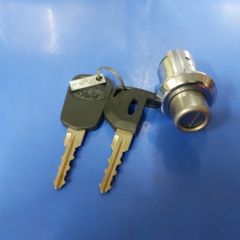 Ford Genuine TX boot/hatch lock