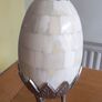 Emu egg Image 6