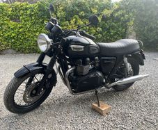 Triumph t100 hight seat