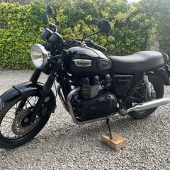 Triumph t100 hight seat