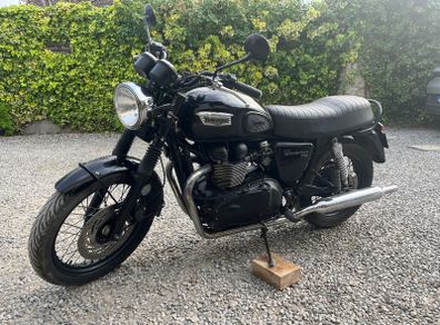 Triumph t100 hight seat