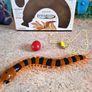 Moving toy Sentipede (Scolopendra Gigantea) (G01) Image 4