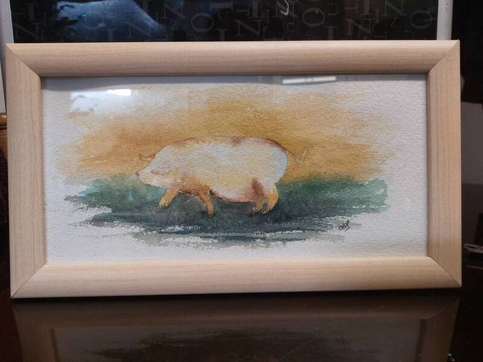 Original Watercolour - Pig