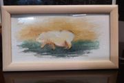 Original Watercolour - Pig