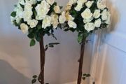 Rose Trees for Hire