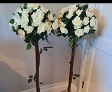Rose Trees for Hire