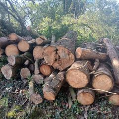 Wood