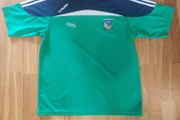 Limerick GAA Green and Navy T-shirt (S)