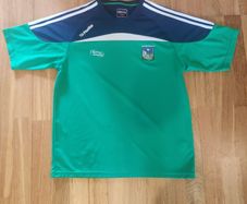 Limerick GAA Green and Navy T-shirt (S)