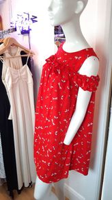 Marks and Spencer's Dragonfly Dress