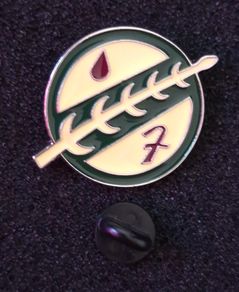 Star wars, pin back badge.
